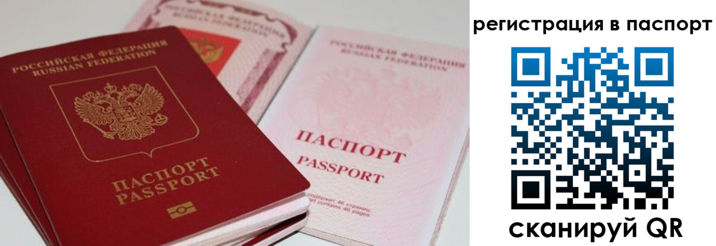 найти адрес прописки в Кольчугино